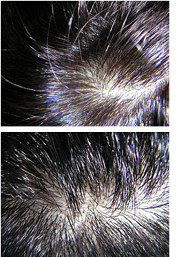 ����Ŏ��R�Ȓn�����Č��I