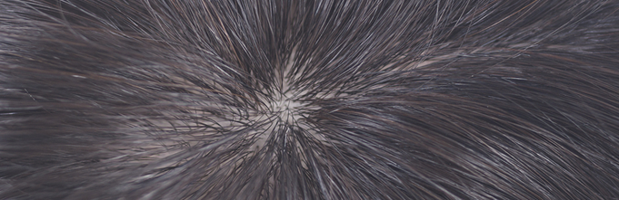 �����̒n�����Č�