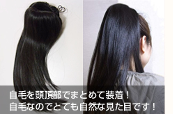 �|�j�[�e�[���^�C�v